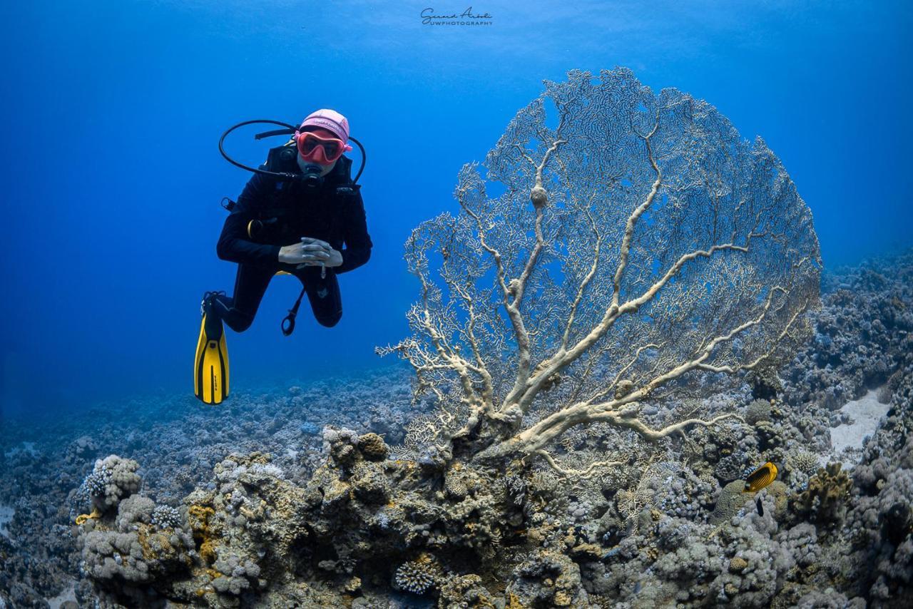 Bait Alaqaba Dive Center & Resort Dış mekan fotoğraf
