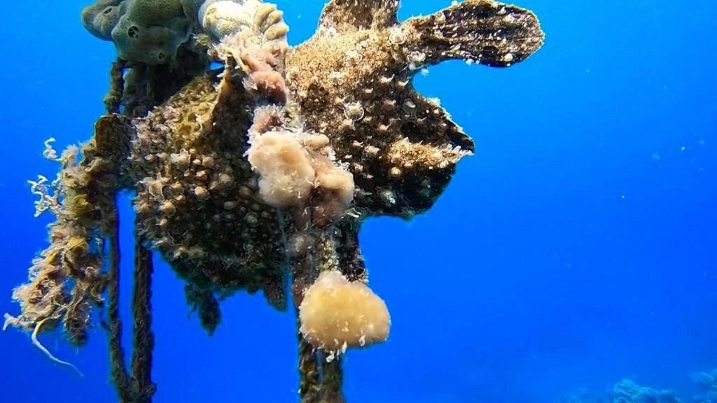Bait Alaqaba Dive Center & Resort Dış mekan fotoğraf